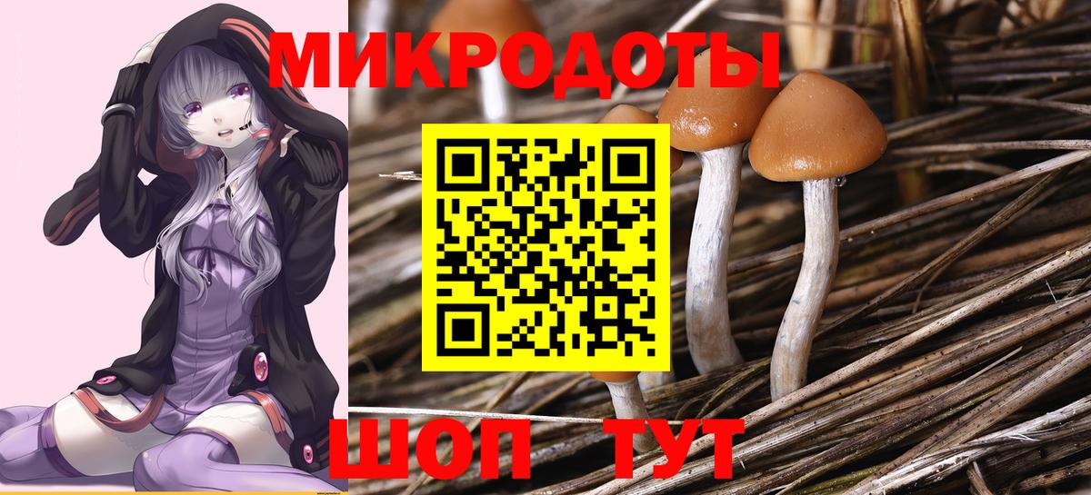 Кизляр  Галлюциногенные грибы Psilocybe  Вход с VPN  Псилоцибиновые грибы MAGIC MUSHROOMS 